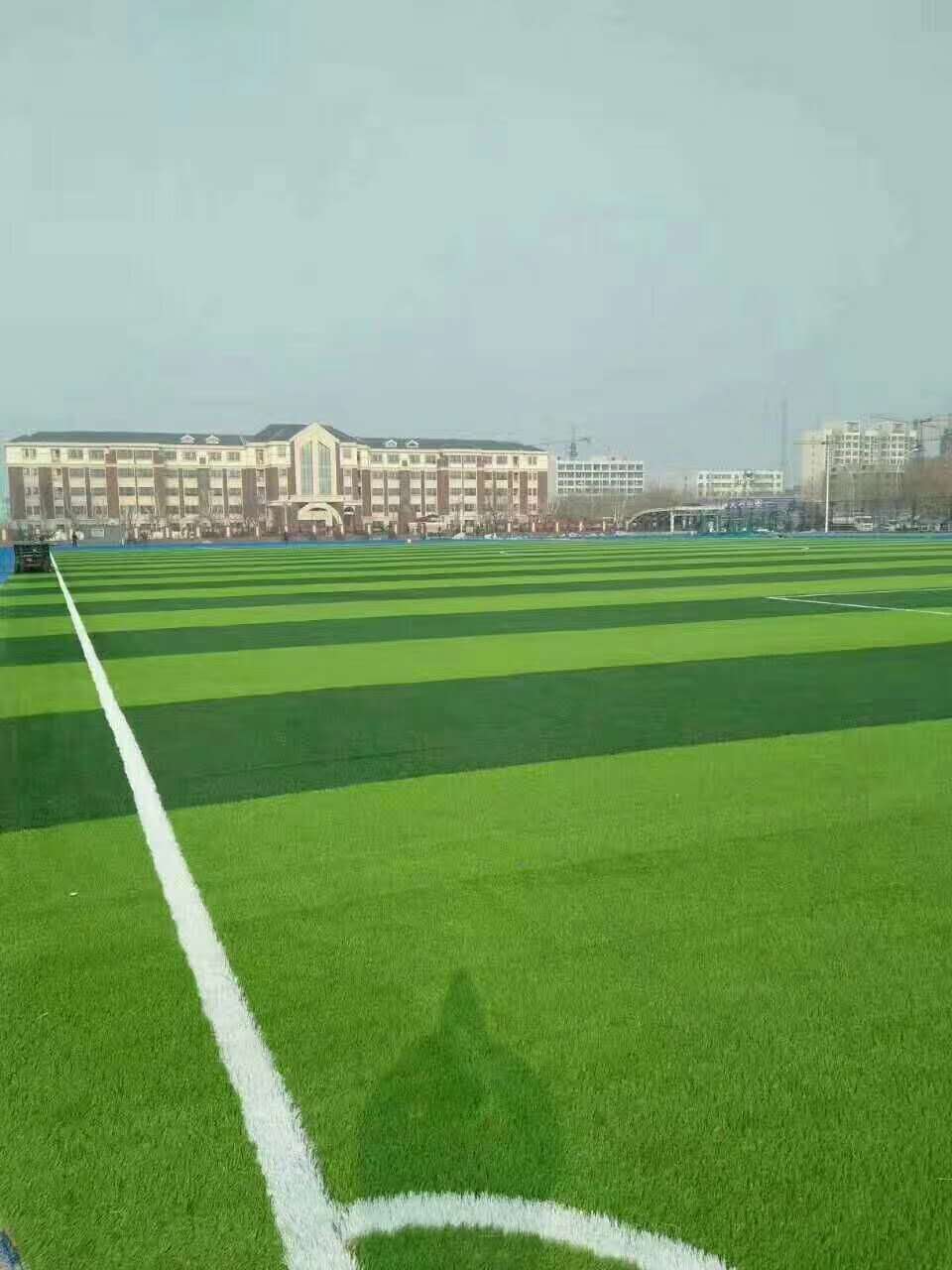 泰州市渗水跑道仿真草坪 - 厂家